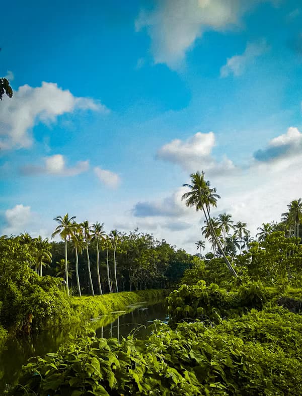 Kottayam
