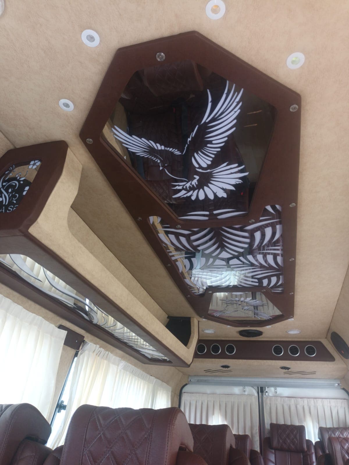 Decorative Tempo Traveller ceiling panel with an eagle motif and recessed lighting